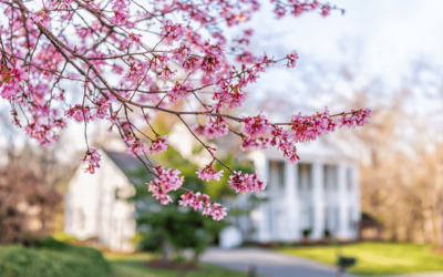 4 Ways To Make an Offer That Stands Out This Spring