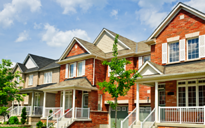 What You Need To Know About Concessions